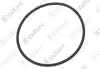 VA O-Ring, Brennerflansch Vaillant-Nr. 0020131014