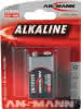 Batterie 9 V 6LP3146-E Block 550 mAh 6LP3146