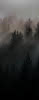 Wandverkleidung 1000x2550 mm more4YOU, Forrest