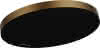 HG Kopfbrause Pulsify S 260 1jet EcoSmart BBR