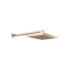 DO RB SERIENSPEZIFISCH 28764980 300 x 240 mm Light Gold gebürstet