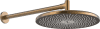 HA Kopfbrause HANSAAURELIA 4726 1-strahlig d 300 mm Bronze gebürstet