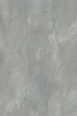 99901116213 #1