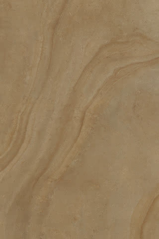 99901116444 #1