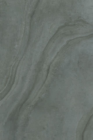 99901116529 #1