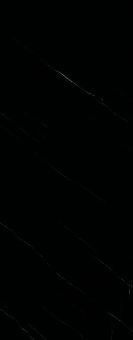 99901168007 #1