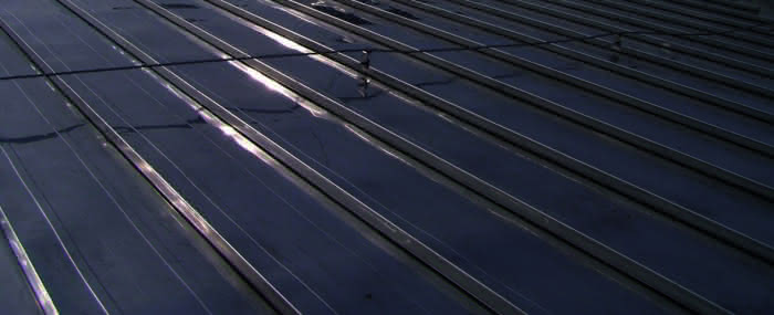 99901185681 #1