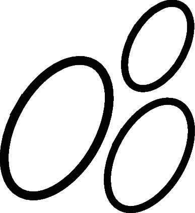 99902858126 #1