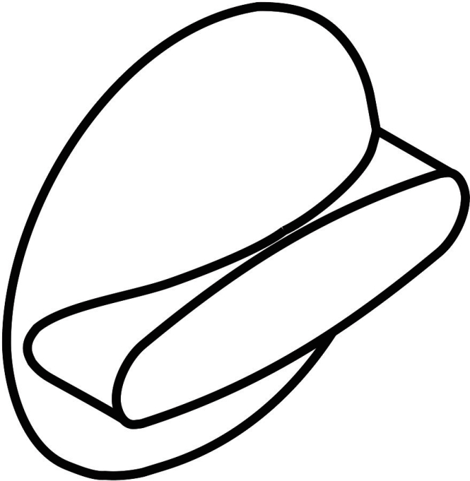 99900203087 #2