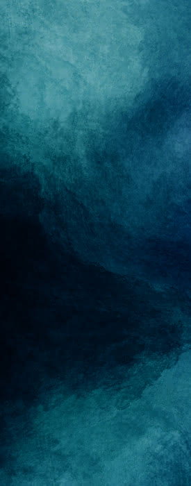 99901168029 #2