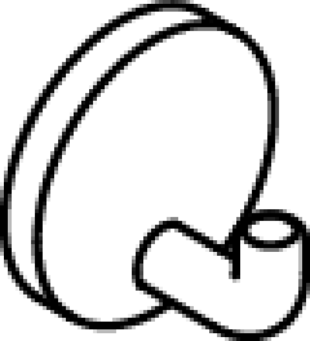 84109613513 #3