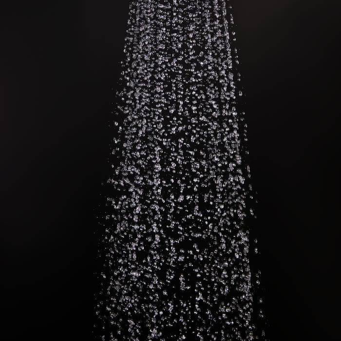 10121331086 #7